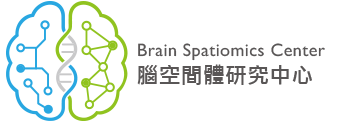 Brain Spatiomics Center · 腦空間體研究中心